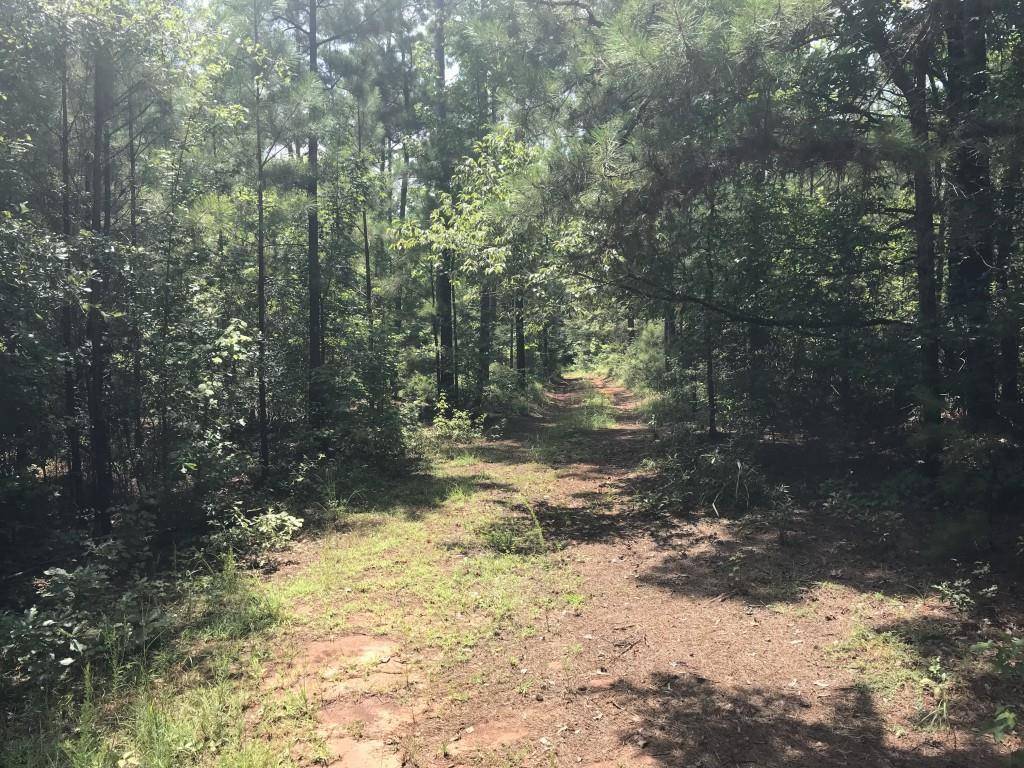 Shiloh, GA 31826,000 Irvin RD