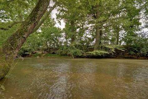 Ellijay, GA 30536,0 River LN