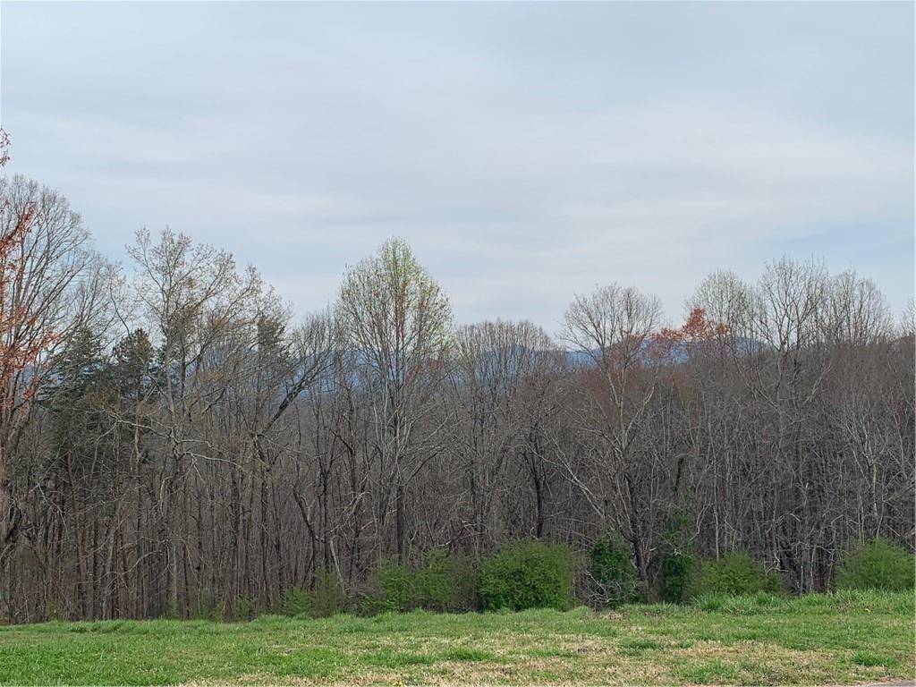 Dahlonega, GA 30533,0 Grand View ST