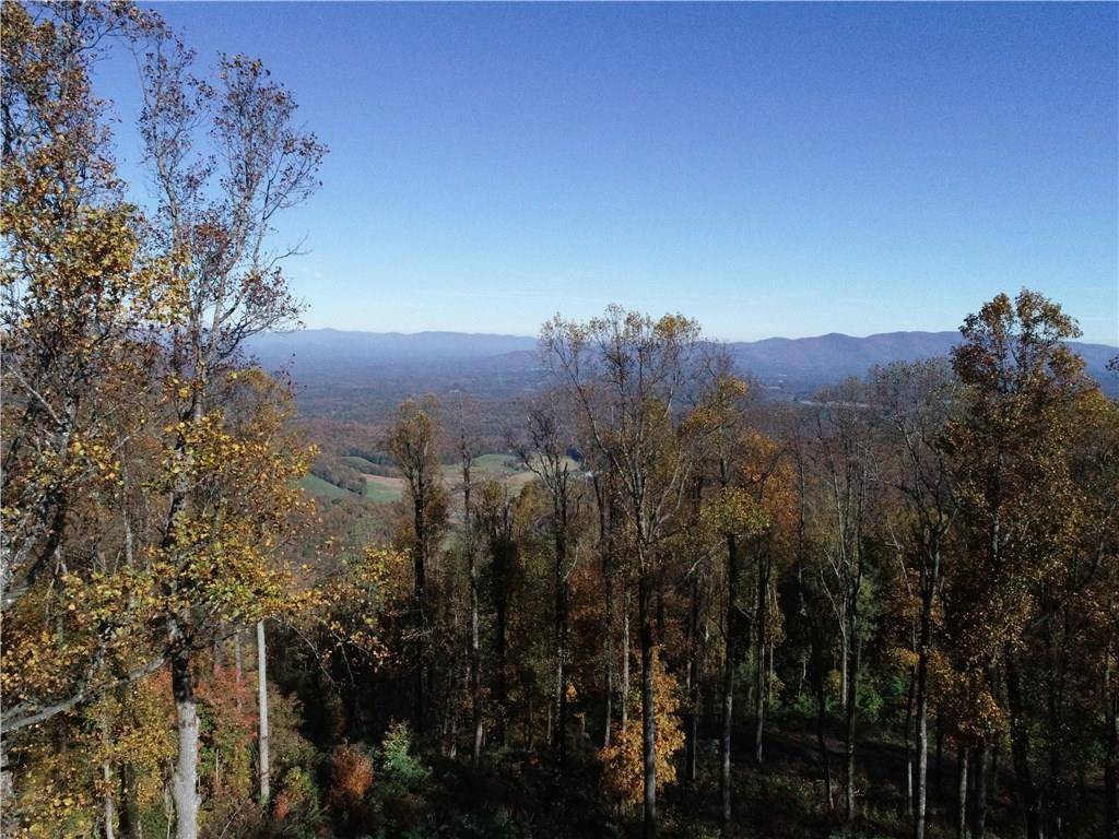 Ellijay, GA 30540,Lt240R Andes RDG