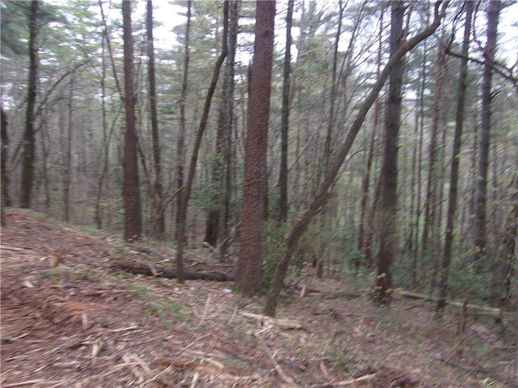 Dahlonega, GA 30533,Lot C Wesley Lee RD