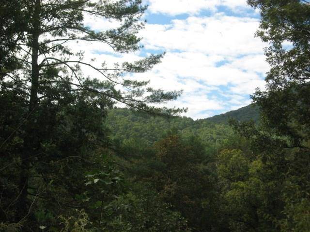 Ellijay, GA 30536,349 Ralston Creek TRL