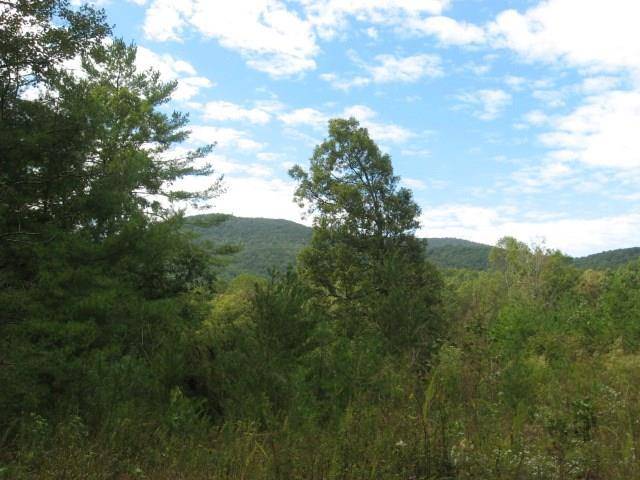 Ellijay, GA 30536,349 Ralston Creek TRL