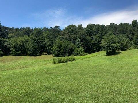 Adairsville, GA 30103,000 Trimble Hollow RD