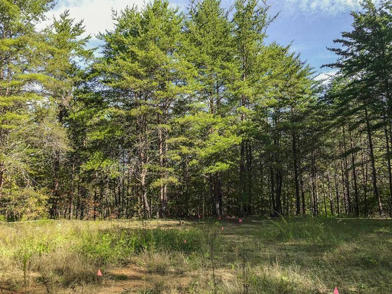 Dahlonega, GA 30533,Lot 61 Chesterra DR