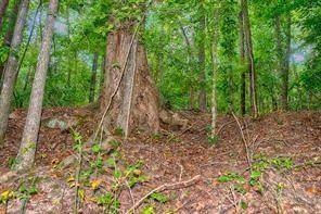 Buford, GA 30518,5985 Lanier Heights CIR