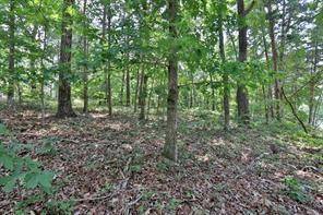 Dawsonville, GA 30534,Lot 3 Grant CV