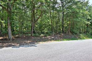 Dawsonville, GA 30534,Lot 3 Grant CV