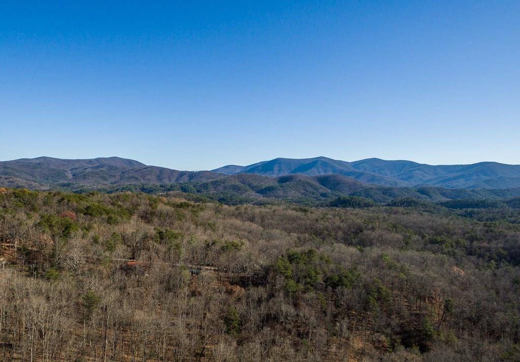 Blue Ridge, GA 30513,461 Cohutta Mountain RD