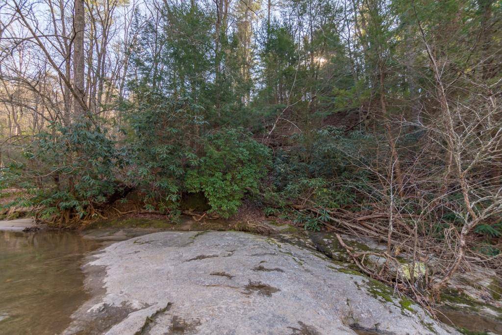 Ellijay, GA 30536,Lot 8 Blackberry Falls CT