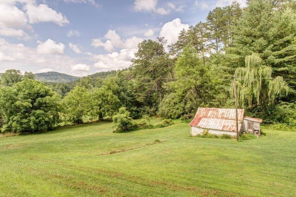 Ellijay, GA 30536,1726 Tickanetley RD