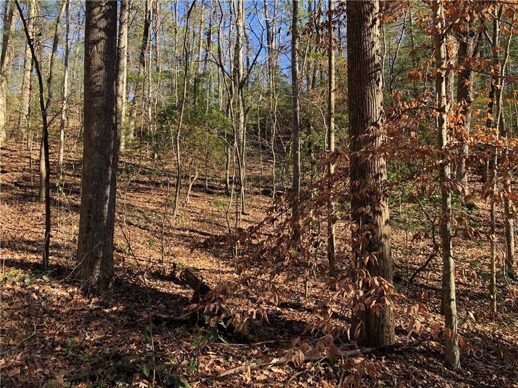 Ellijay, GA 30540,319 Big Buck Mountain