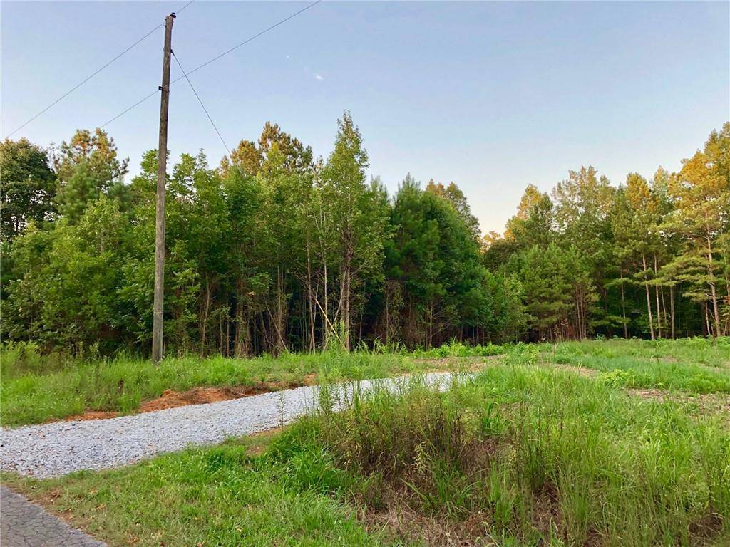 Buchanan, GA 30113,0 McKibben RD