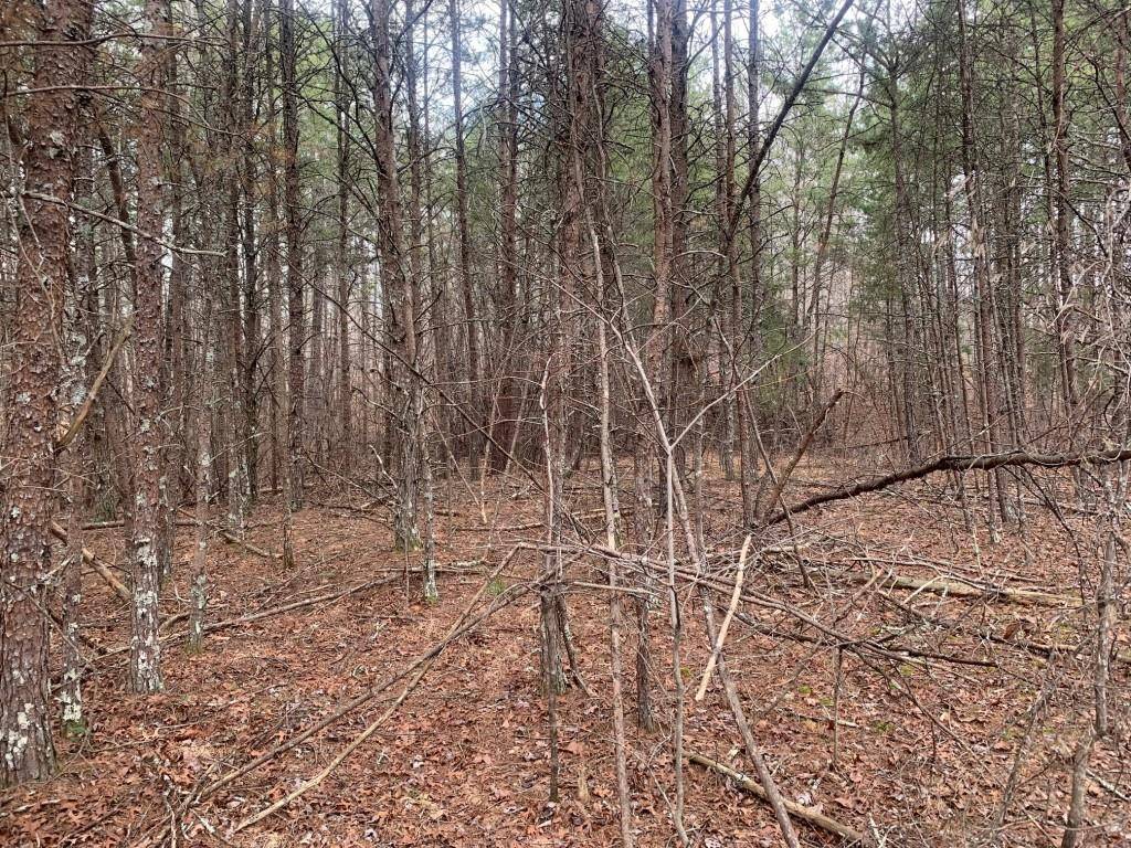 Dahlonega, GA 30533,1 Red Oak Flats RD