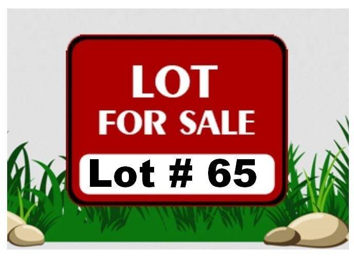 Calhoun, GA 30701,Lot 65 PEACHTREE LN