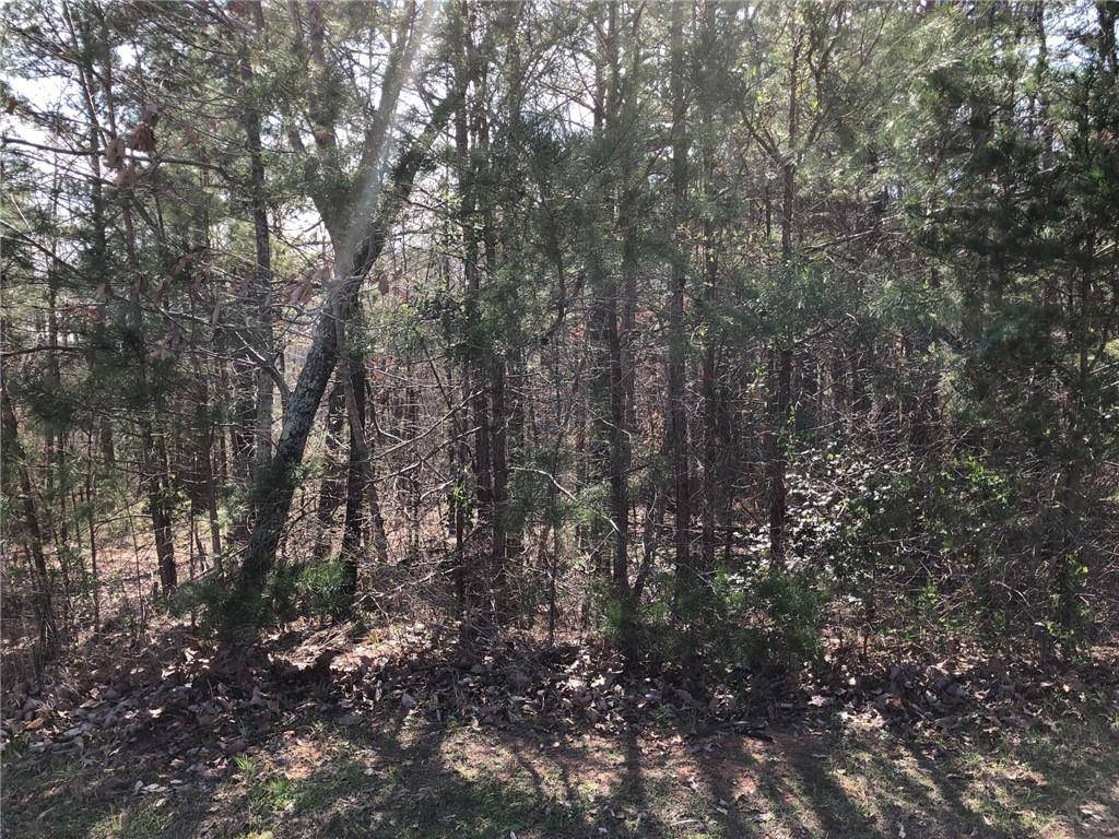 Ball Ground, GA 30107,Lot 2 Settler's Ridge DR