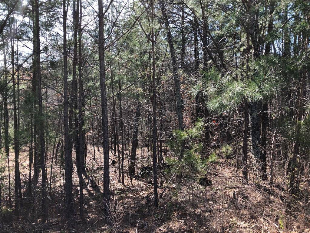 Ball Ground, GA 30107,Lot 2 Settler's Ridge DR