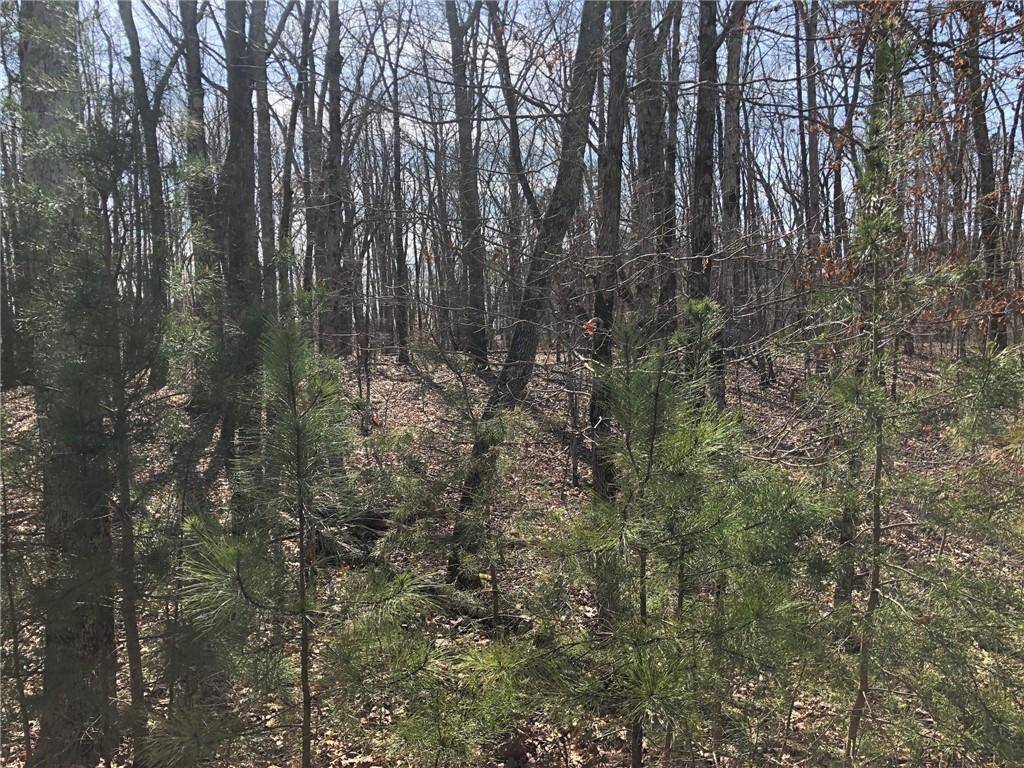 Ball Ground, GA 30107,LOT 6 Settler's Ridge DR