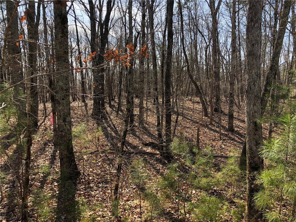 Ball Ground, GA 30107,LOT 6 Settler's Ridge DR