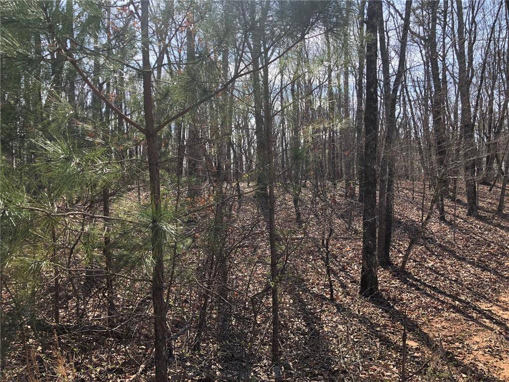 Ball Ground, GA 30107,LOT 6 Settler's Ridge DR