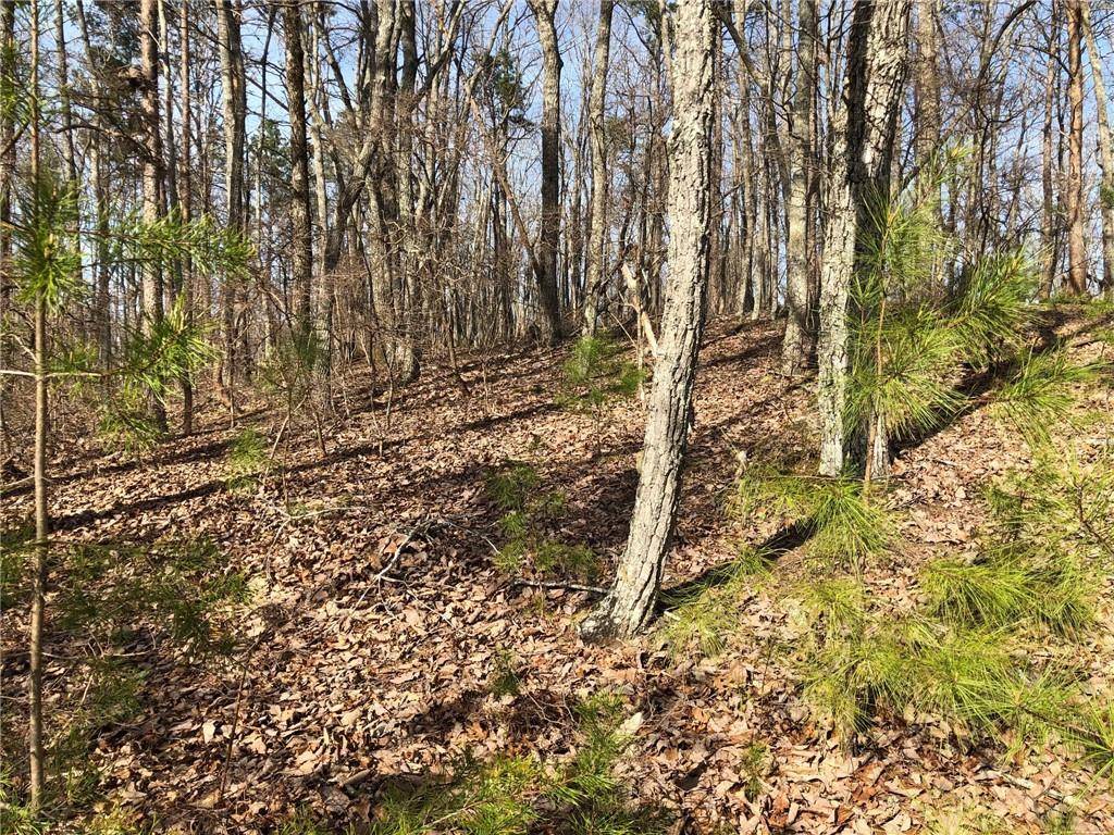 Ball Ground, GA 30107,0 Lot #22 Settler's Ridge DR