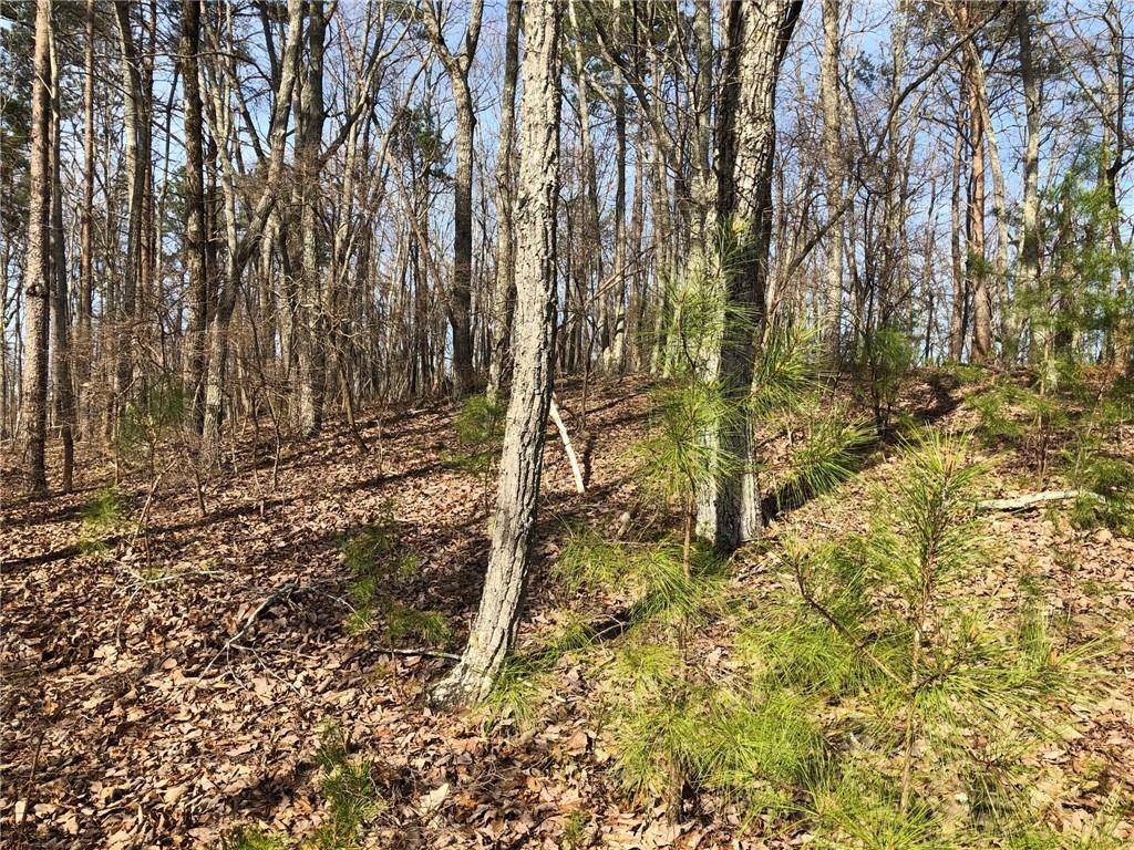 Ball Ground, GA 30107,0 Lot #22 Settler's Ridge DR