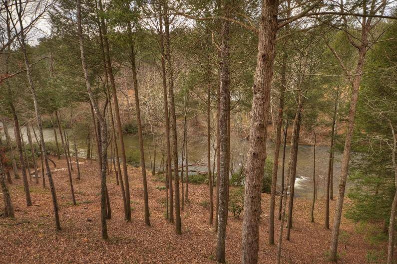 Ellijay, GA 30536,651 Riverfront DR