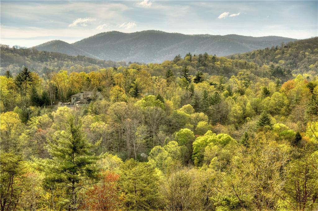 Ellijay, GA 30540,1161 Settlers Ridge RD