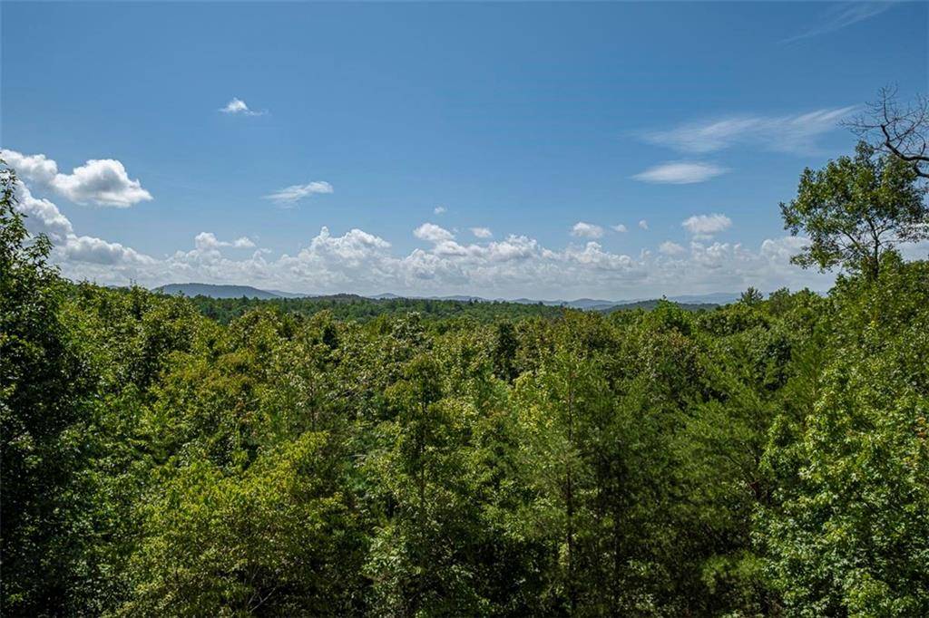 Ellijay, GA 30536,208 Oliver Creek RD