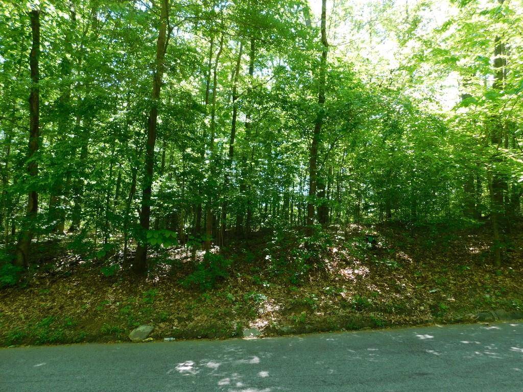 Atlanta, GA 30311,1700 Adams DR