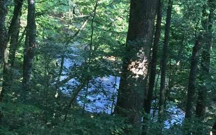 Suches, GA 30572,171 Northside RD