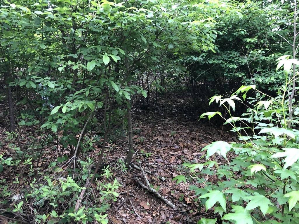 Lula, GA 30554,0 Sims Harris RD