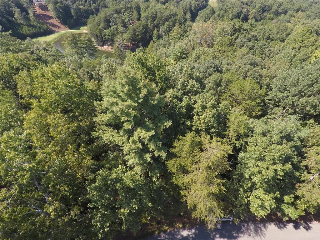 Ellijay, GA 30540,0 Cherokee DR