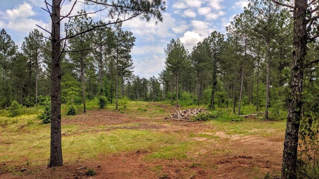 Madison, GA 30650,00 Sandy Creek RD