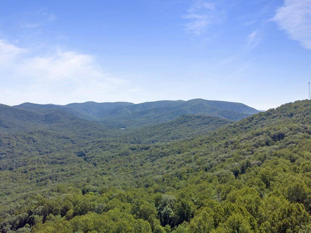 Ellijay, GA 30536,1317 MOUNTAIN OAK RD