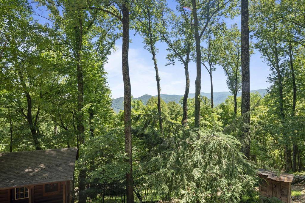 Ellijay, GA 30536,1317 MOUNTAIN OAK RD