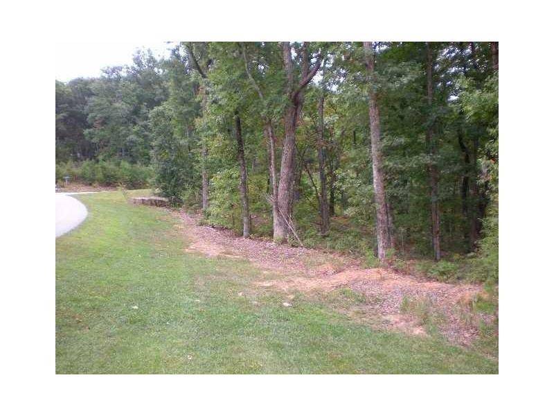 Cleveland, GA 30528,Lot 38 Teel Mountain DR