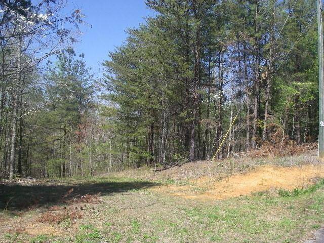 Ranger, GA 30734,0 Long Branch TRL