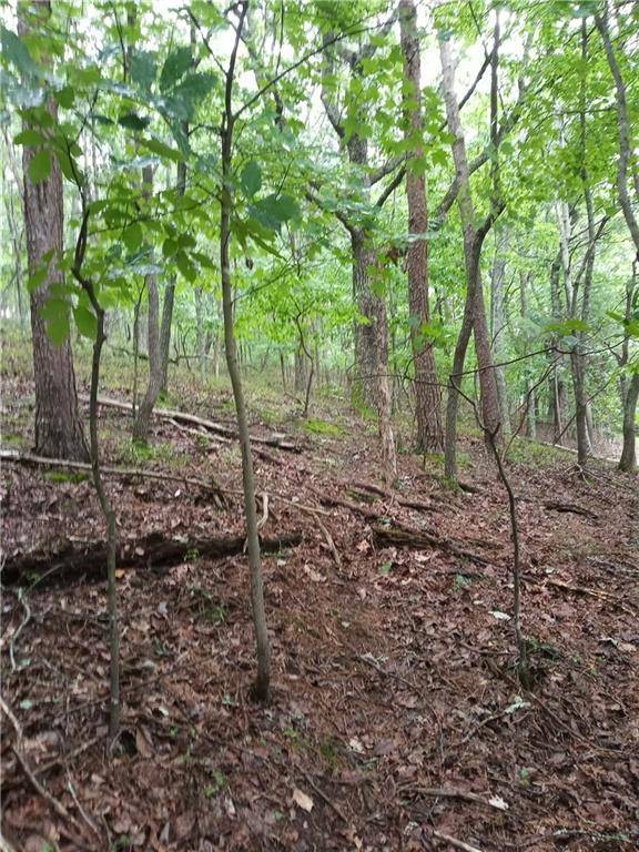 Waleska, GA 30183,00 Hillside DR