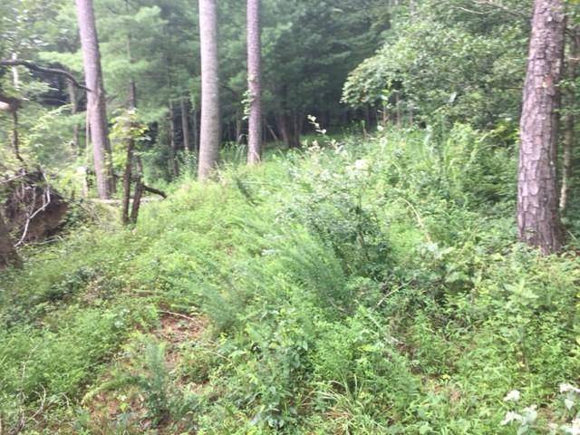 Blairsville, GA 30512,0 Nottely View DR