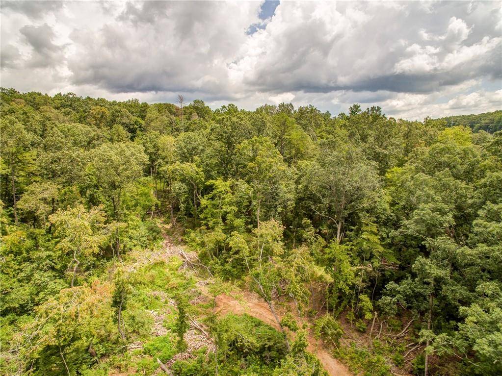 Ellijay, GA 30540,00 Harold Pritchett RD