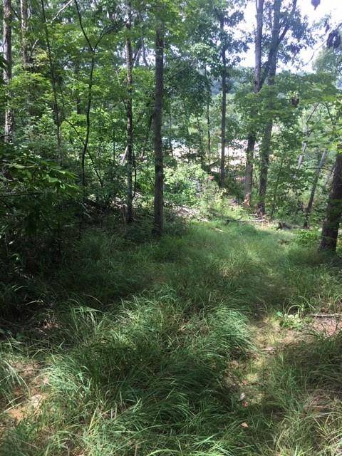 Ellijay, GA 30540,00 Harold Pritchett RD