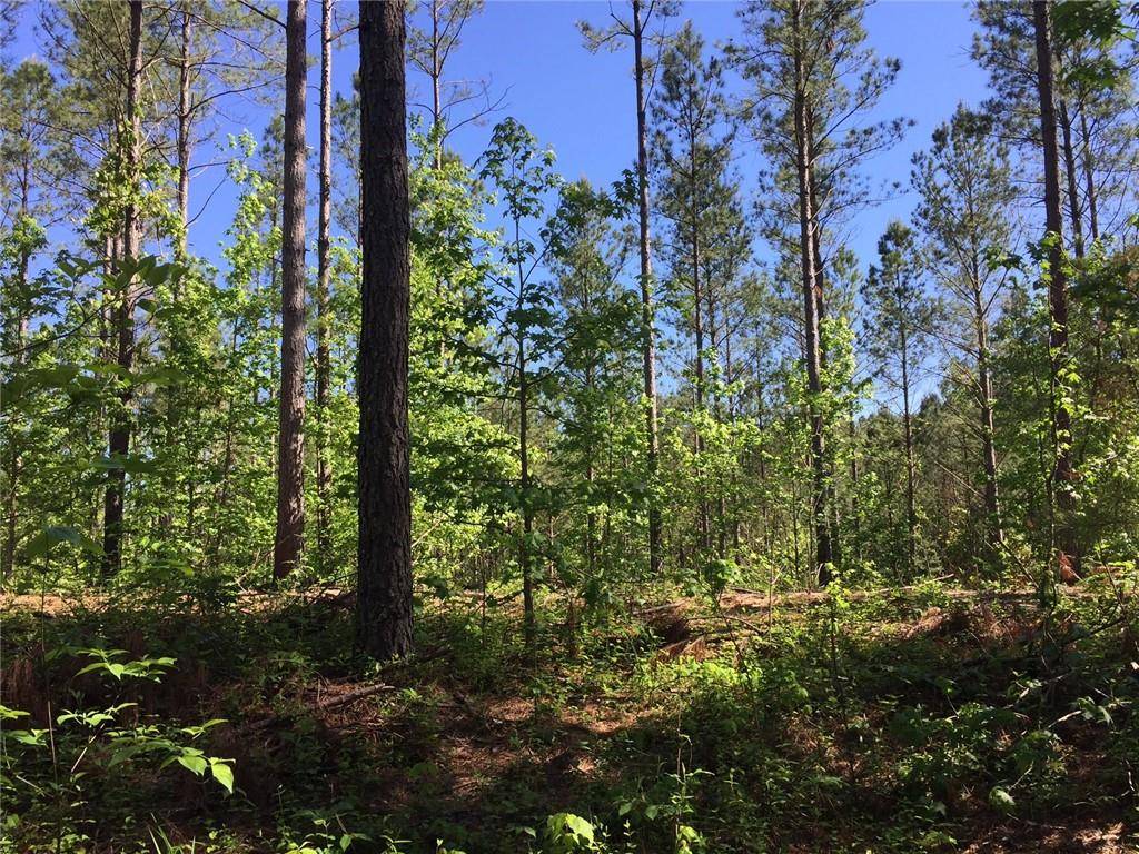 Ranger, GA 30734,Trt 4 Pin Hook RD