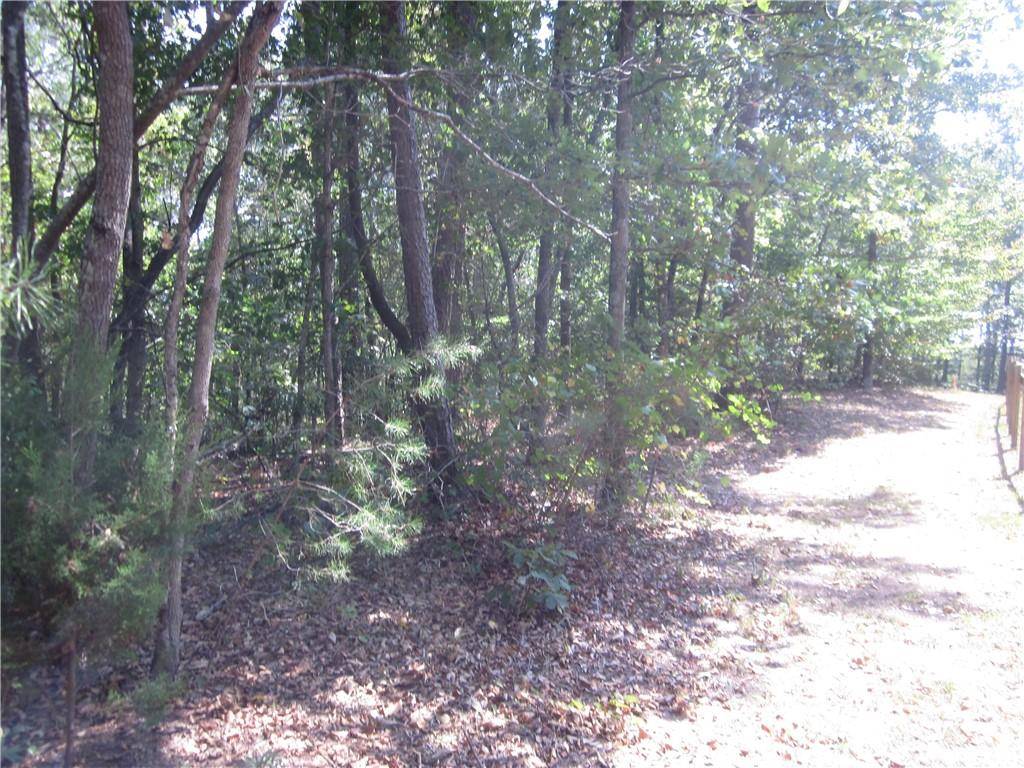 Ball Ground, GA 30107,002 Roy Haynes Drive   Tract #2 DR