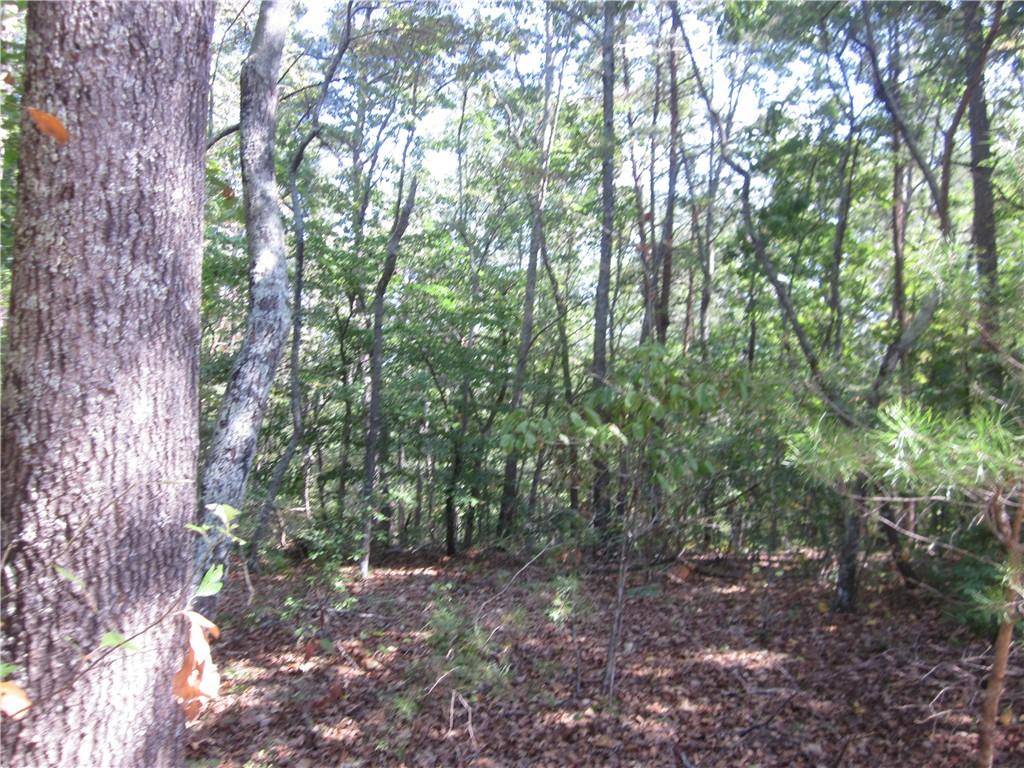 Ball Ground, GA 30107,002 Roy Haynes Drive   Tract #2 DR