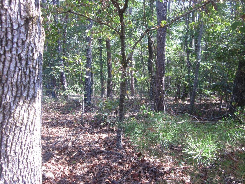 Ball Ground, GA 30107,003 Roy Haynes Drive   Tract #3 DR