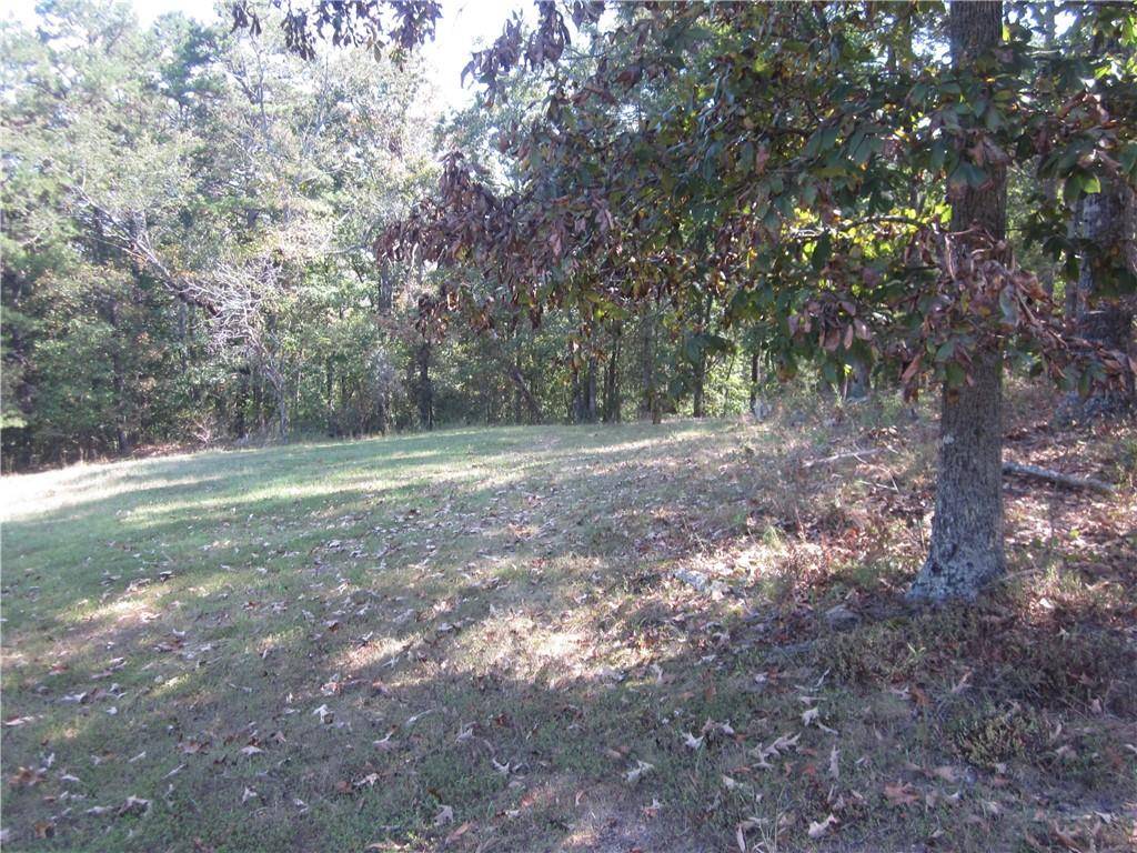 Ball Ground, GA 30107,003 Roy Haynes Drive   Tract #3 DR