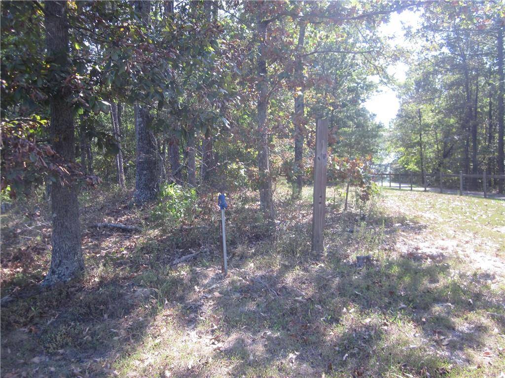 Ball Ground, GA 30107,003 Roy Haynes Drive   Tract #3 DR