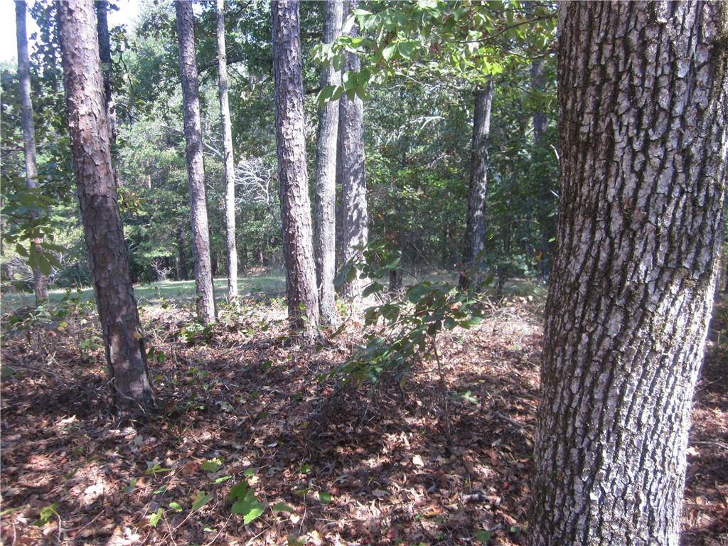 Ball Ground, GA 30107,003 Roy Haynes Drive   Tract #3 DR