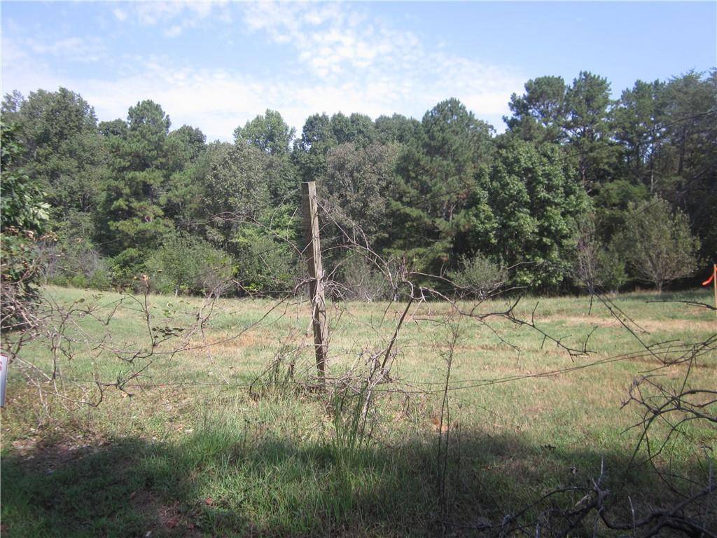 Ball Ground, GA 30107,004 Roy Haynes Drive   Tract #4 DR